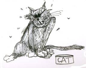 Kats and Kits: Sun Cat 1